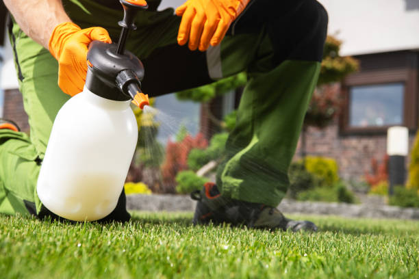 Best Flea Control Services  in Pasadena Hills, FL