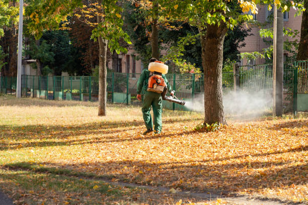 Flea Control Services in Pasadena Hills, FL